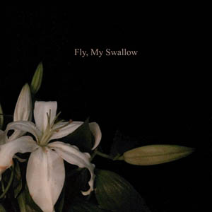 Fly, My Swallow