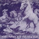 White Horses And Shooting Stars